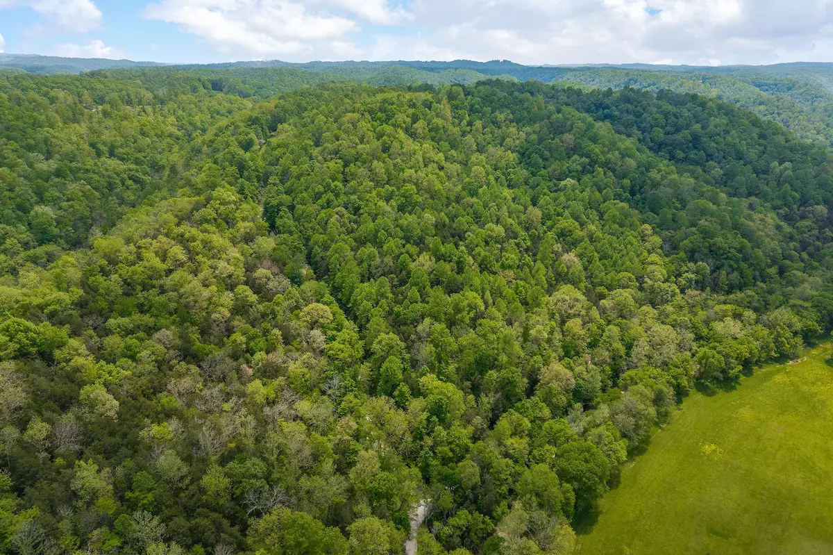 Hilham, TN 38568,0 Red Bud Ln TN