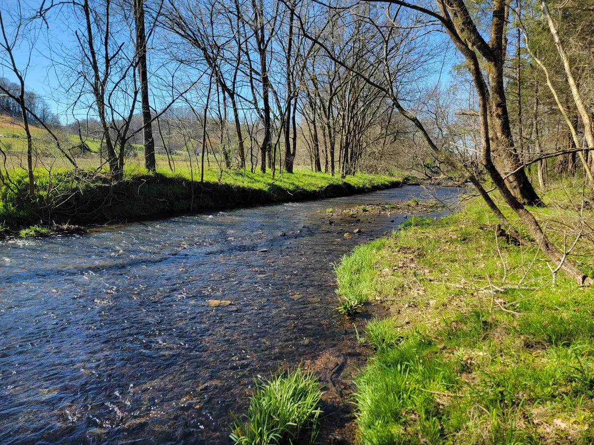 Lynnville, TN 38472,0 Campbellsville Pike