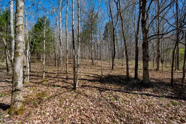 0 Bedford Creek Road, Franklin, TN 37064