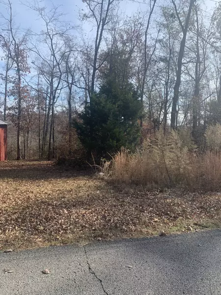 0 Lower Roans Creek Rd, Linden, TN 37096