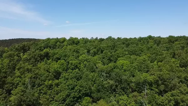 Lobelville, TN 37097,397 Red Bank Rd