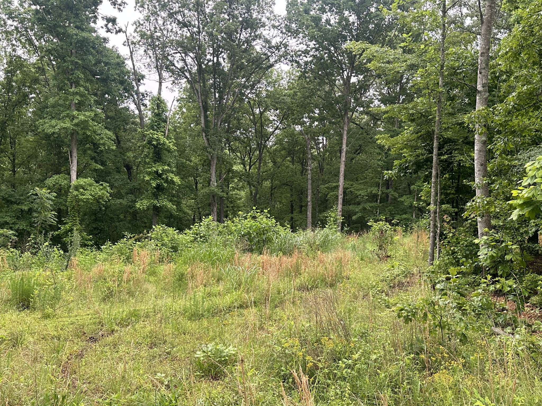 146 Quail Ridge Rd, Summertown, TN 38483