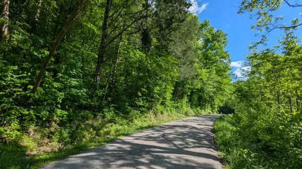 0 Wolf Hill Rd, Bethpage, TN 37022
