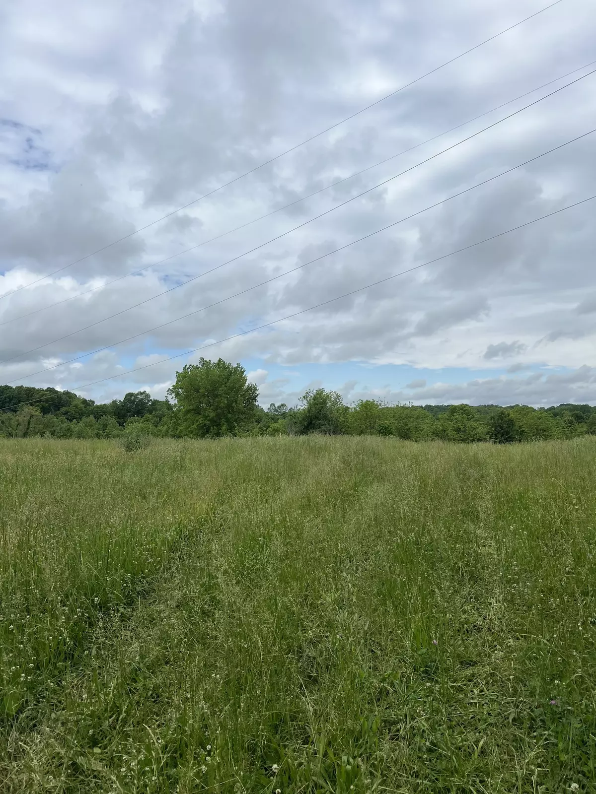 Lafayette, TN 37083,18 Oakmere Lane