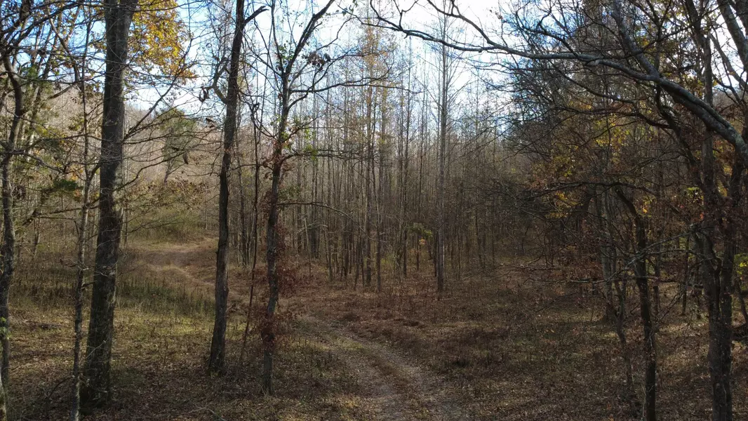 0 Turkey Creek Road, Waverly, TN 37185