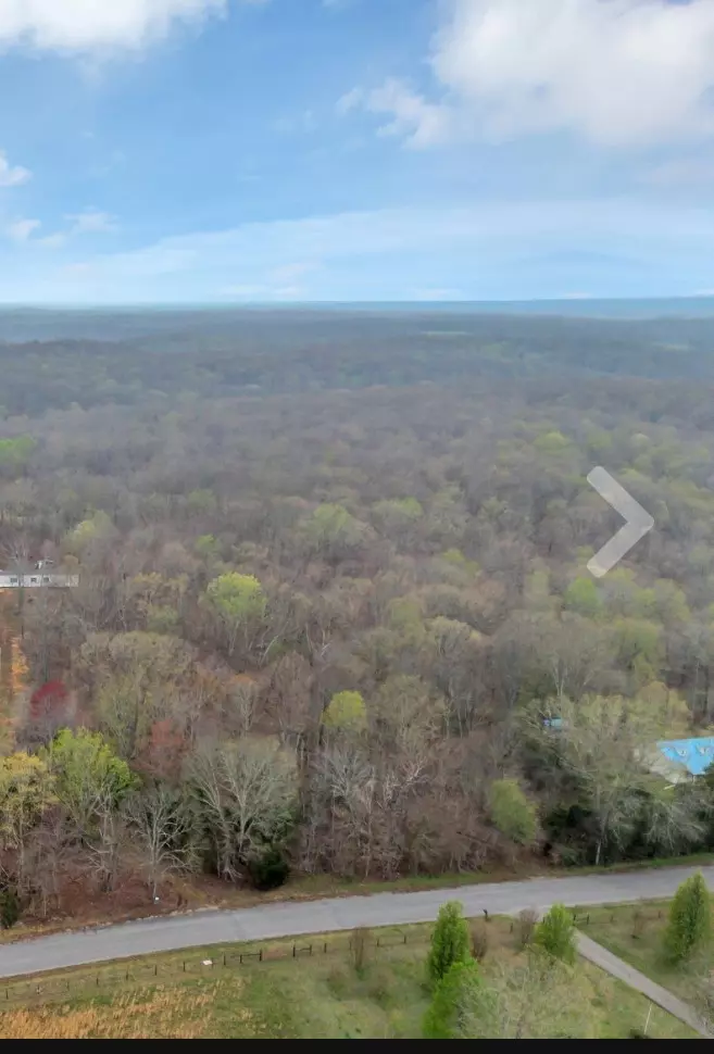 Primm Springs, TN 38476,0 Calvin Potts Rd