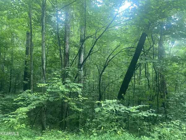 Caryville, TN 37714,0 Bibee Lane