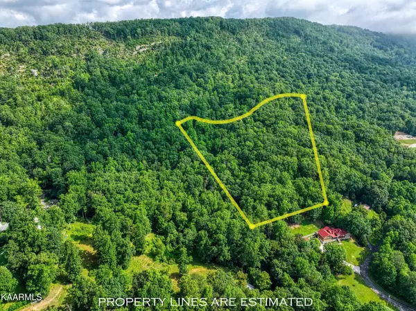 0 Bibee Lane, Caryville, TN 37714