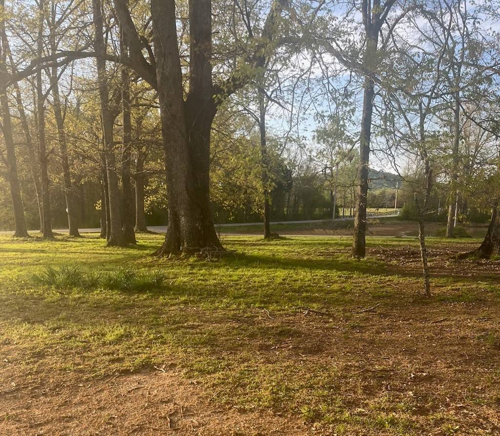 10962 Newtown Rd, Unionville, TN 37180