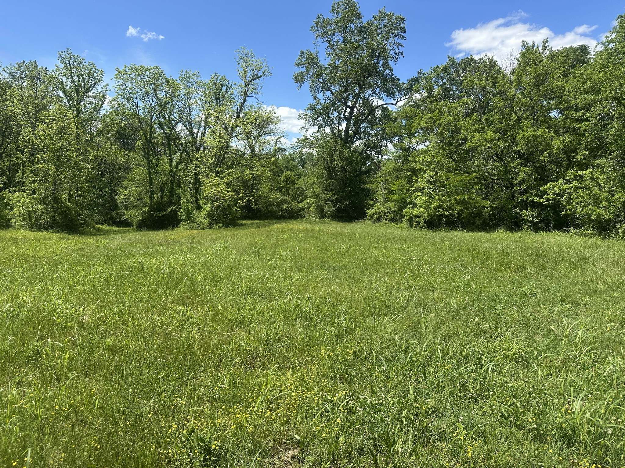 0 Greens Mill Rd, Spring Hill, TN 37174
