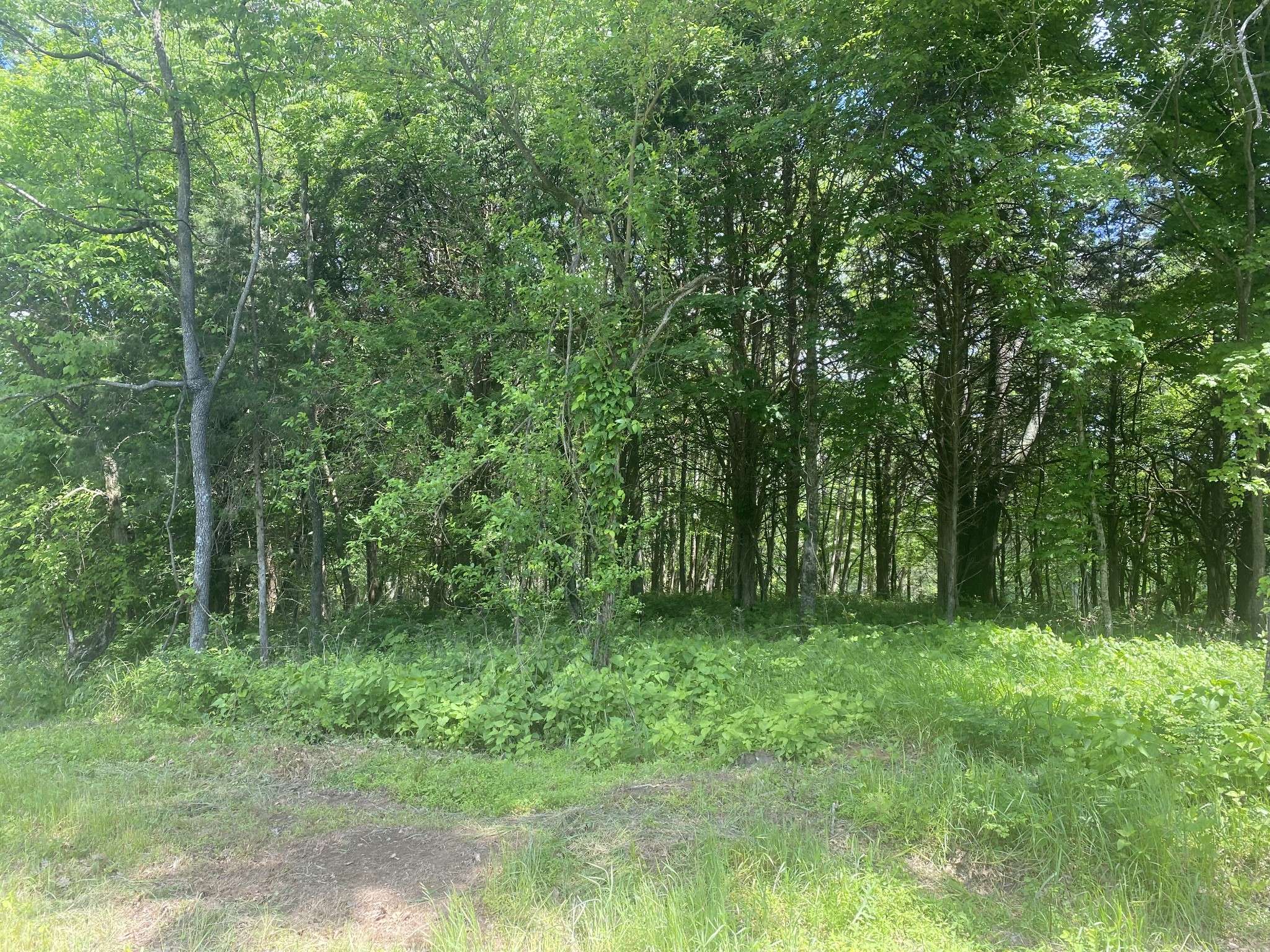 College Grove, TN 37046,0 Cross Keys Rd