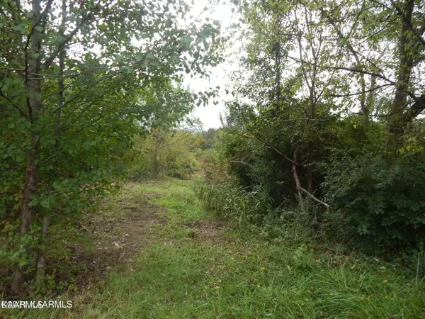 Maryville, TN 37804,0 Spurgeon Lane