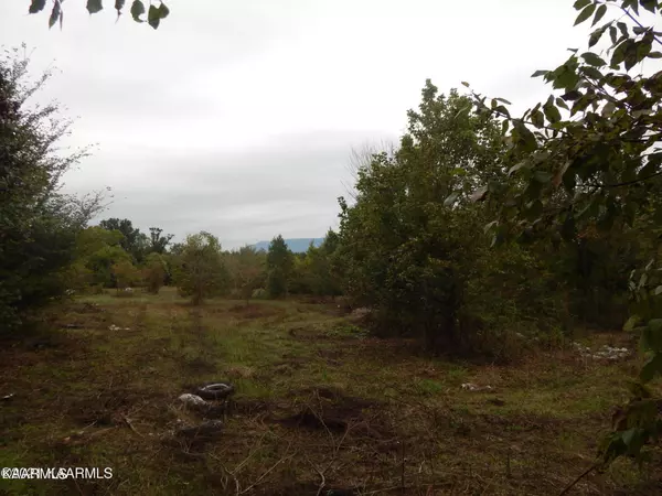 Maryville, TN 37804,0 Spurgeon Lane