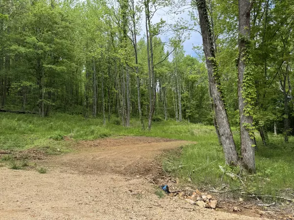 Linden, TN 37096,0 Lobelville Highway