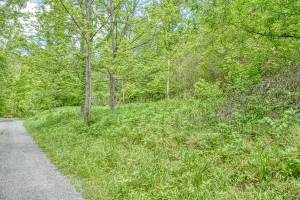 Gainesboro, TN 38562,0 Sanders Ln