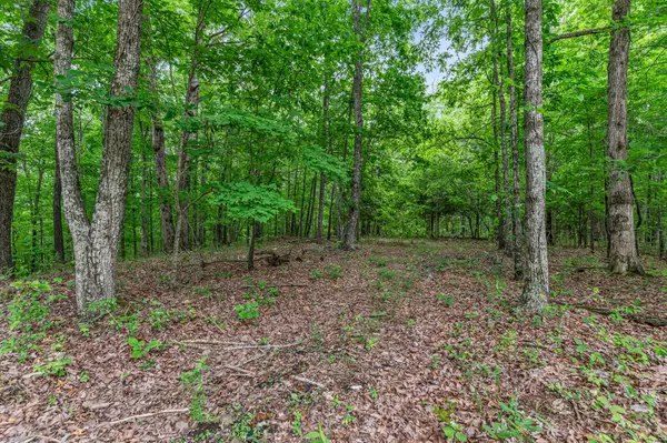 Joelton, TN 37080,0 Higdon