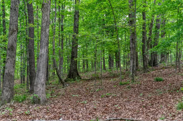 Joelton, TN 37080,0 Higdon