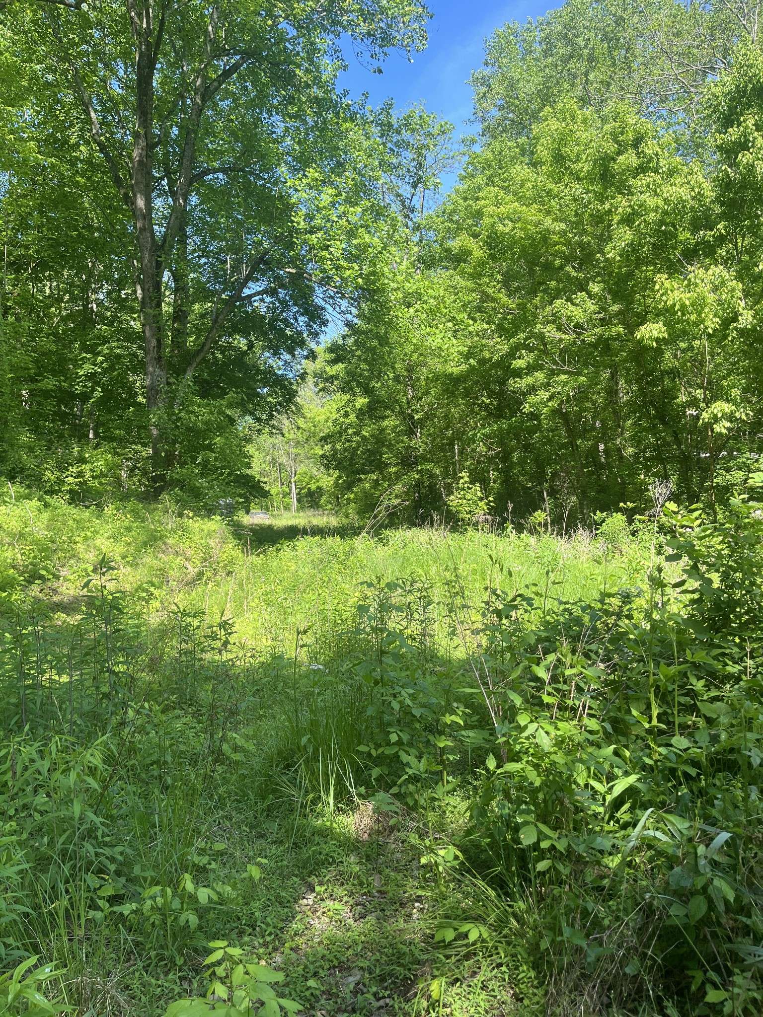 Westmoreland, TN 37186,0 Hawkins Rd