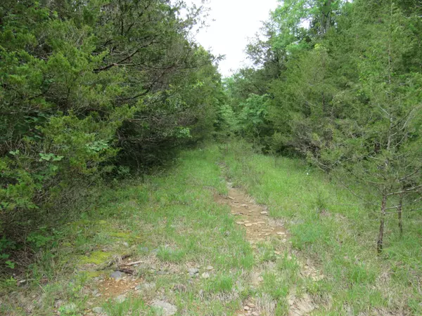 Rockvale, TN 37153,0 Morgan Rd