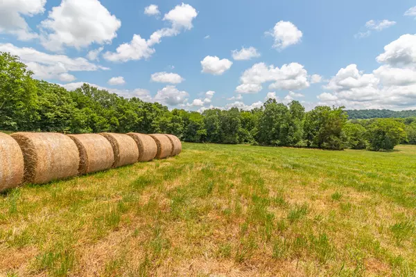 Lewisburg, TN 37091,0 Wallace Thompson Road