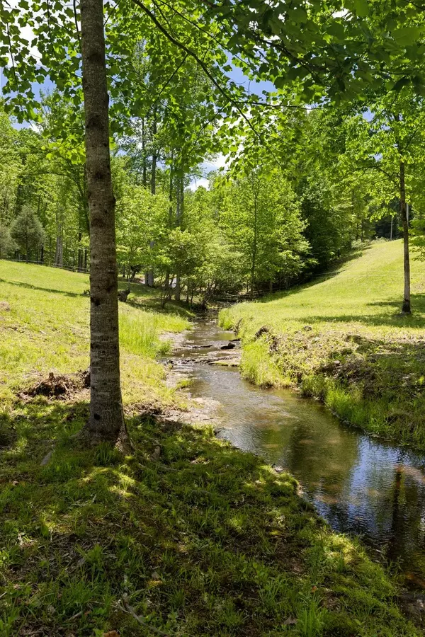Hohenwald, TN 38462,320 Dyestone Springs Road