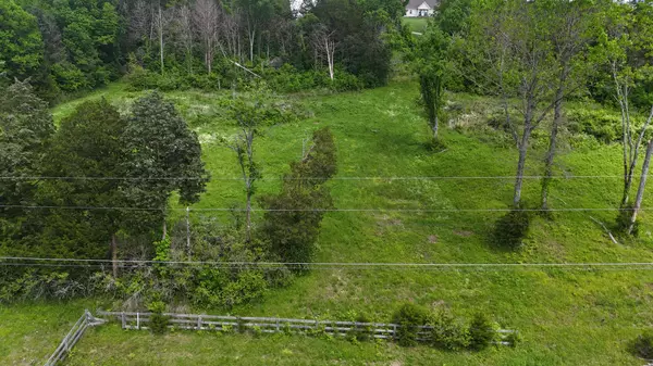 Hartsville, TN 37074,0 Bridle Path