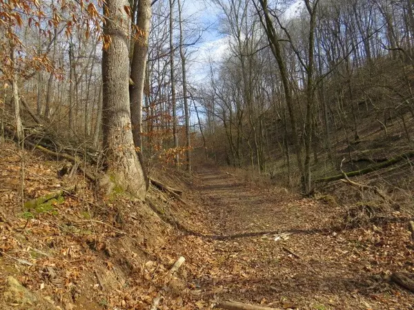 Lynnville, TN 38472,1074B Kersey Hollow Rd
