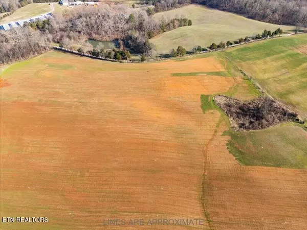 Greenback, TN 37742,21075 Meadow Rd West Rd