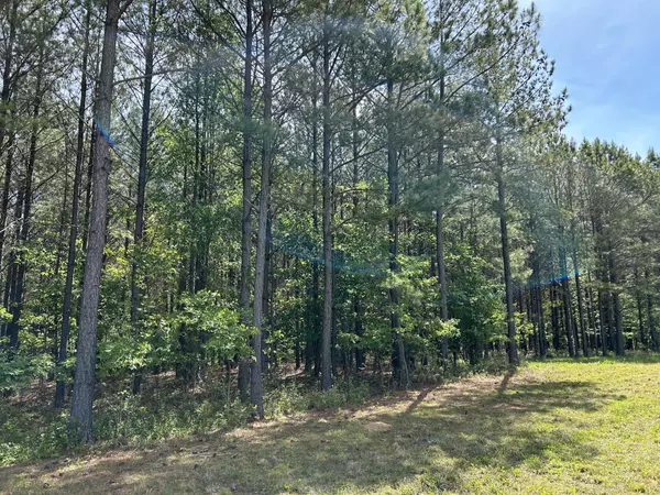 250 Bear Trace Drive, Jasper, TN 37347