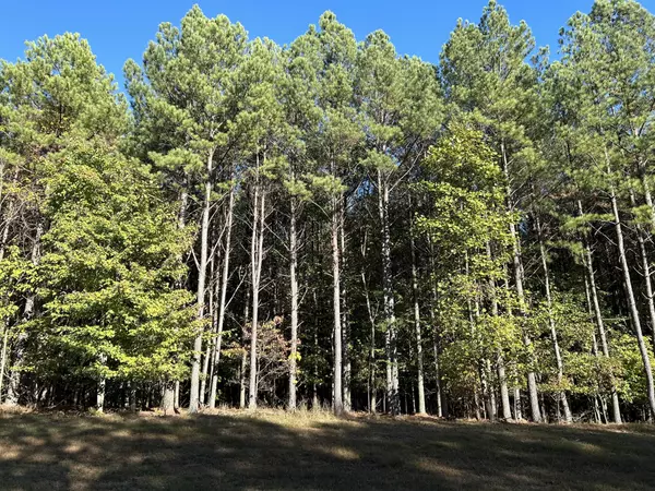 Jasper, TN 37347,2035 Crockett Point