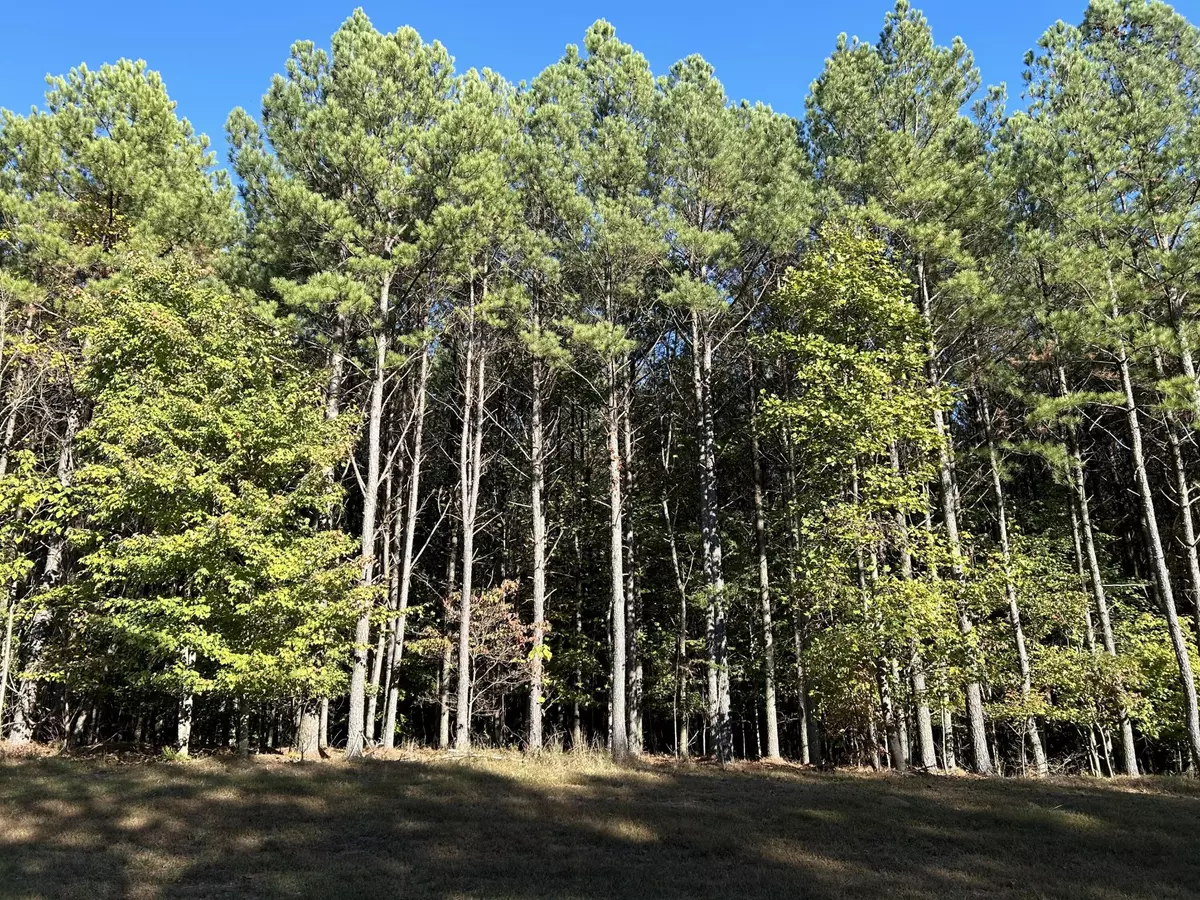 Jasper, TN 37347,2035 Crockett Point