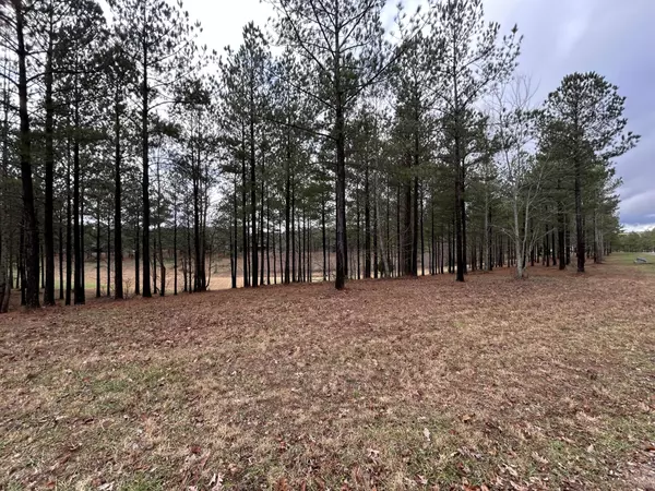 Jasper, TN 37347,203 Pappy Road