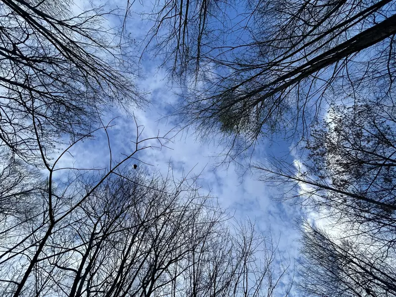 270 Volunteer Street, Jasper, TN 37347