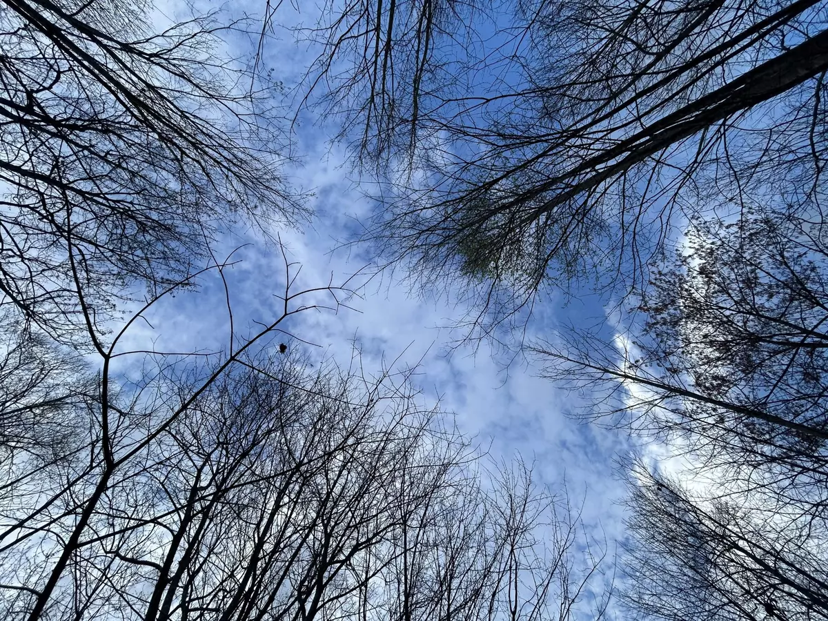 Jasper, TN 37347,270 Volunteer Street