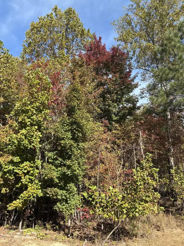 Jasper, TN 37347,270 Volunteer Street