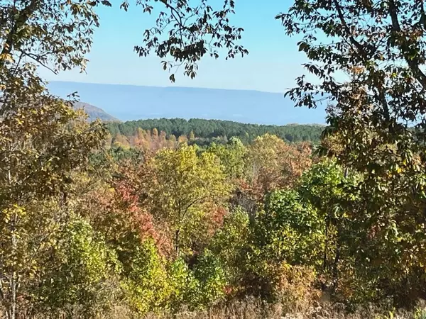 Jasper, TN 37347,510 Lookout View Drive #Rb-177