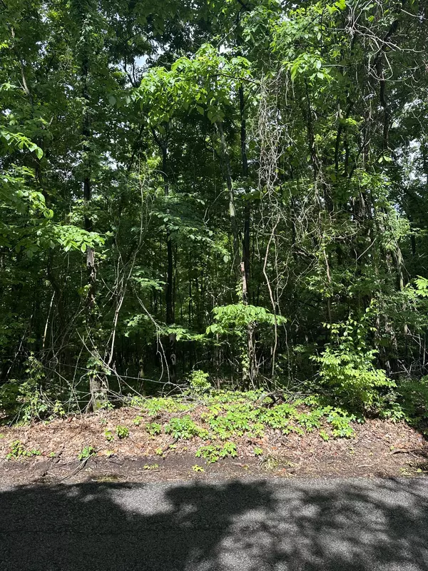 Mount Juliet, TN 37122,717 Riverview Rd