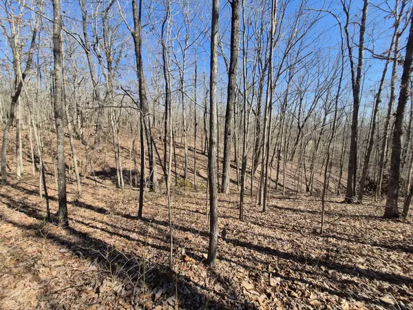 South Pittsburg, TN 37380,61 Teludachee Trail