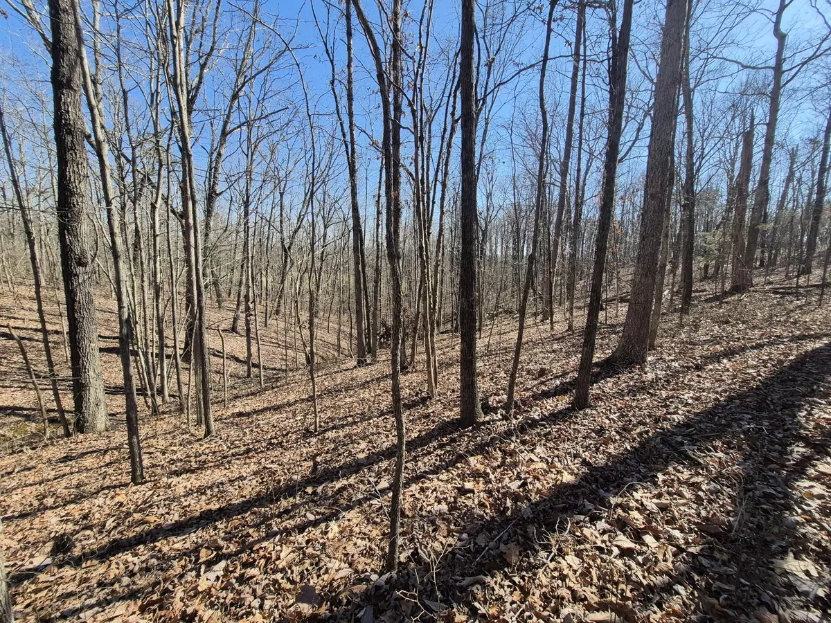 South Pittsburg, TN 37380,61 Teludachee Trail