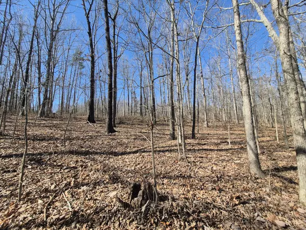 South Pittsburg, TN 37380,61 Teludachee Trail