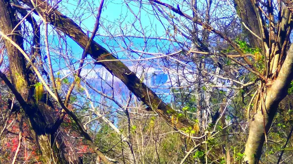 South Pittsburg, TN 37380,168 Teludachee Trail
