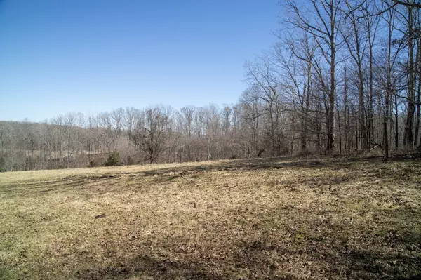 Nunnelly, TN 37137,0 S Possum Hollow Road Tract 7