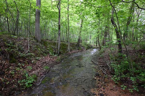 163 Fern Springs Rd, Hohenwald, TN 38462