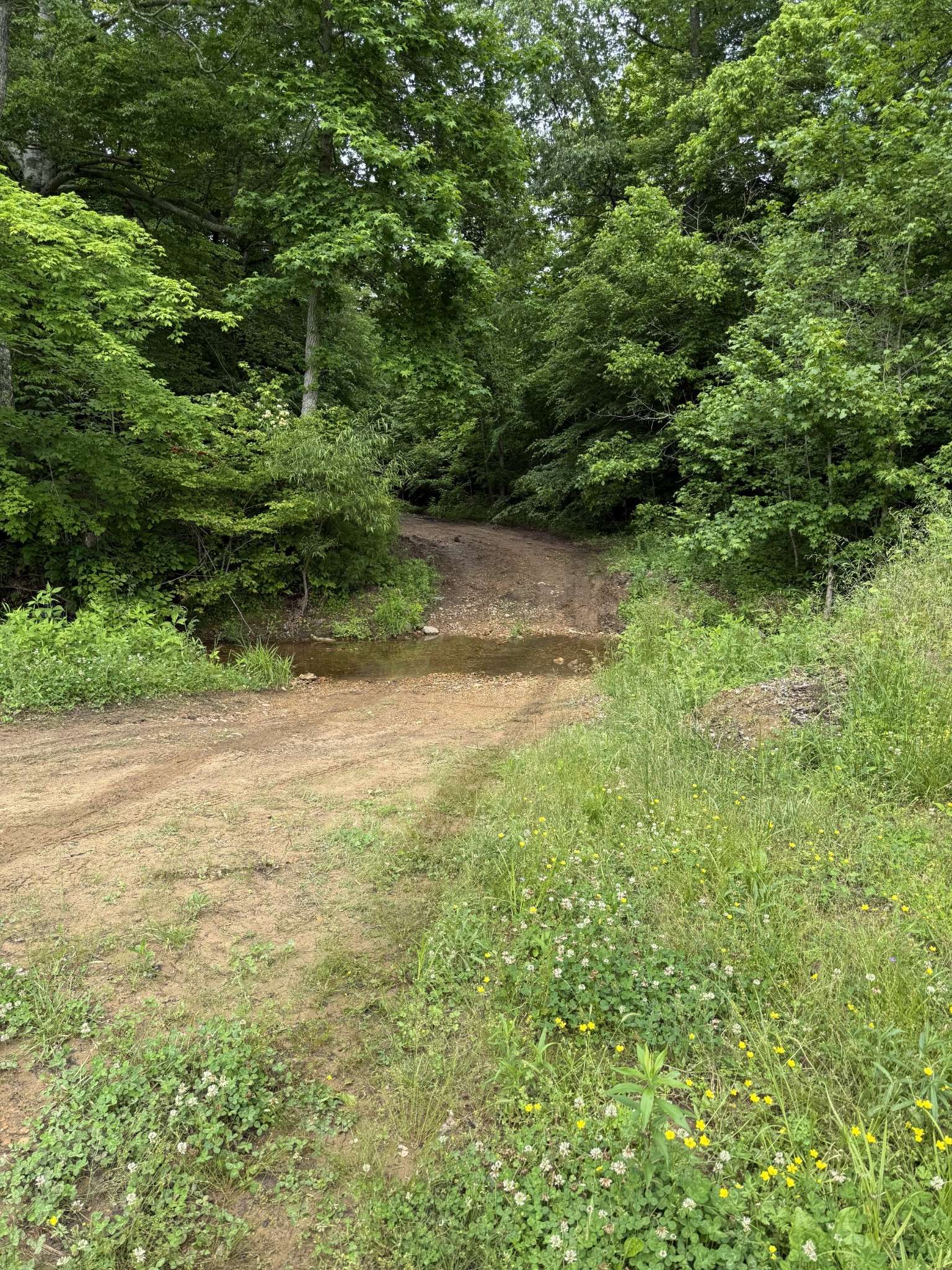 Olivehill, TN 38475,265 Lantern Ln