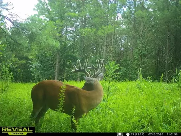 Hurricane Mills, TN 37078,0 Duck River
