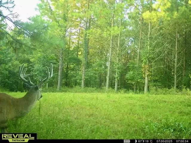 Hurricane Mills, TN 37078,0 Duck River