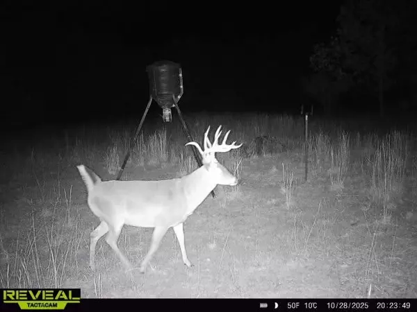 Hurricane Mills, TN 37078,0 Duck River