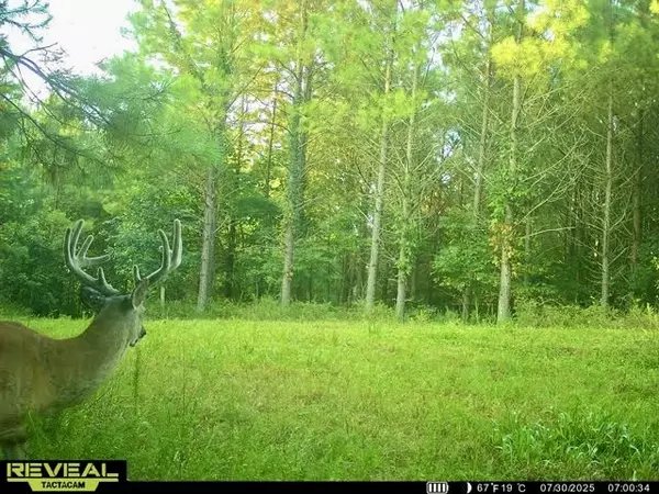0 Duck River, Hurricane Mills, TN 37078