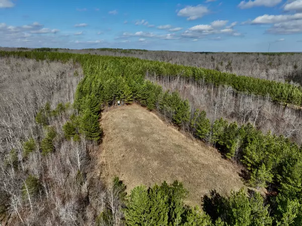 Hurricane Mills, TN 37078,0 Duck River