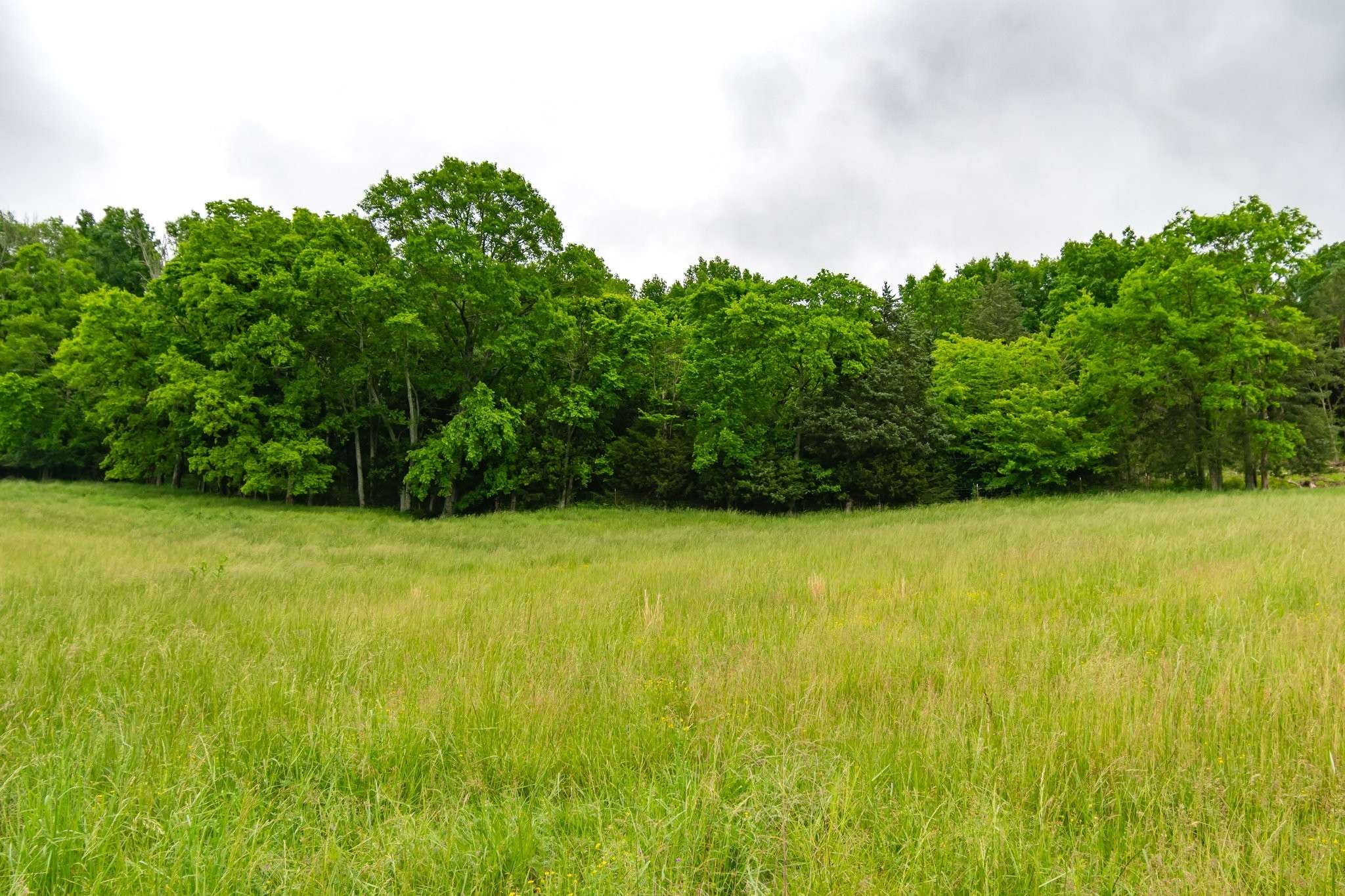College Grove, TN 37046,0 Giles Hill Road
